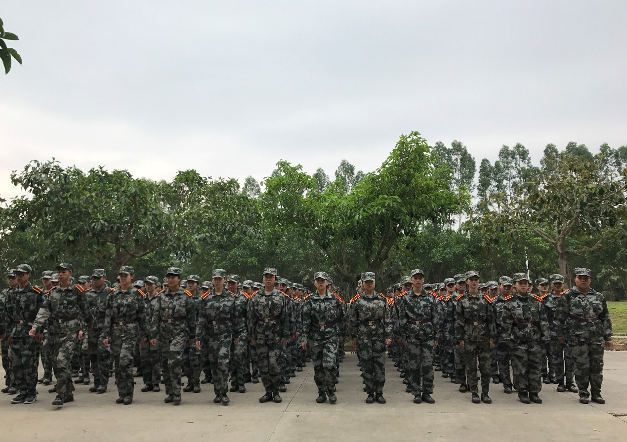 1514513585348084.png 50.png