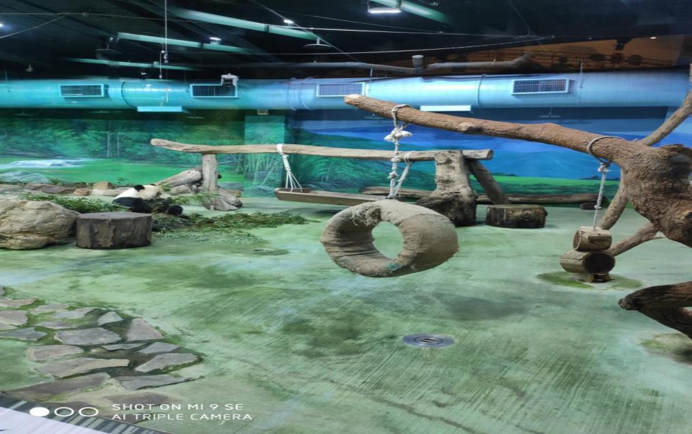 1582258703362930.png 图片6.png