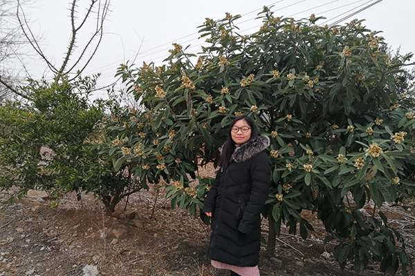 1551665359734509.png 图片5.png