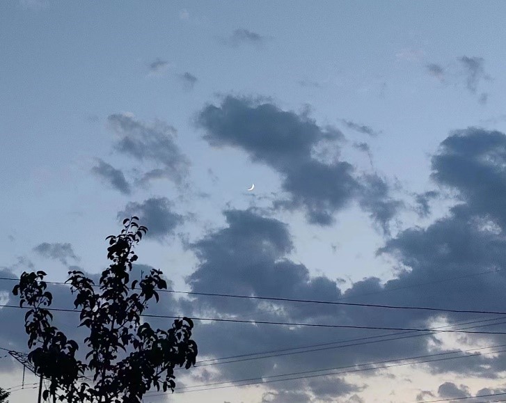 1693378481649091.jpg y.jpg