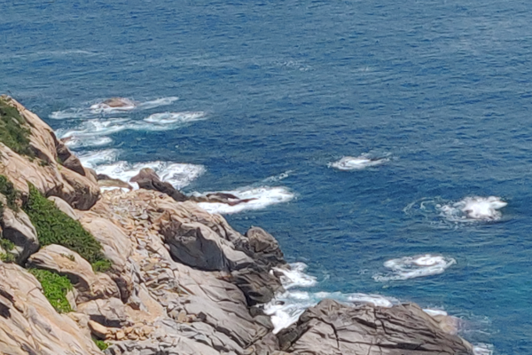 1551157520400496.png 图片8.png