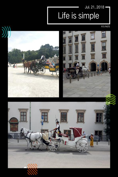 1536334193856762.jpg 来路尽欢7.jpg