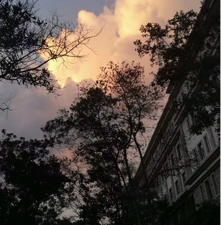 1668697160483117.png 1668697160483117.png