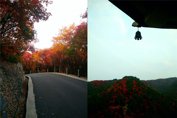 1525228971255996.jpg initpintu_副本 (2).jpg