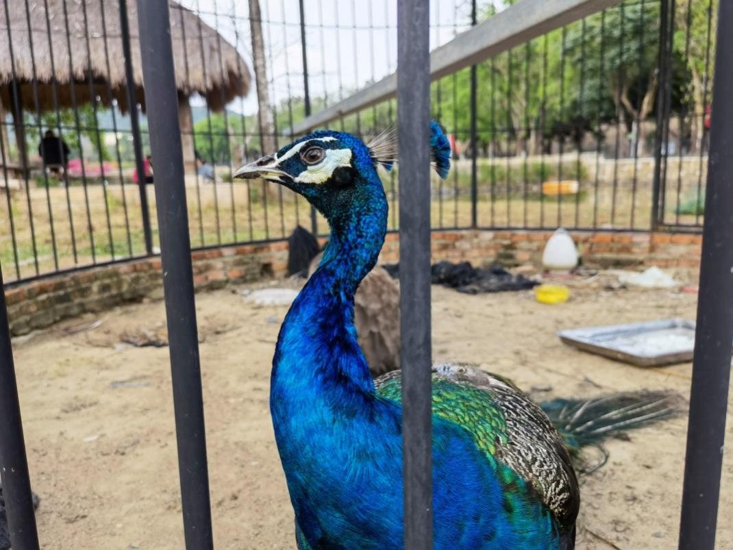 1650602677134710.png 1650602677134710.png