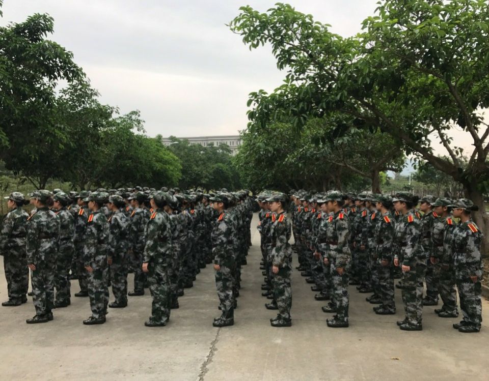 1514514500743847.jpg 53.jpg