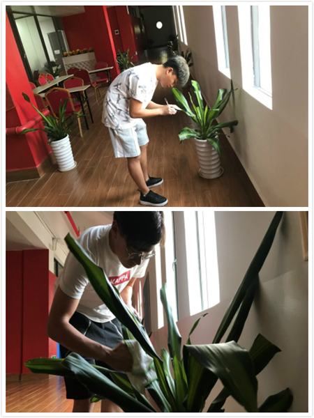 1551104794180733.jpg 未命名_meitu_0.1.jpg