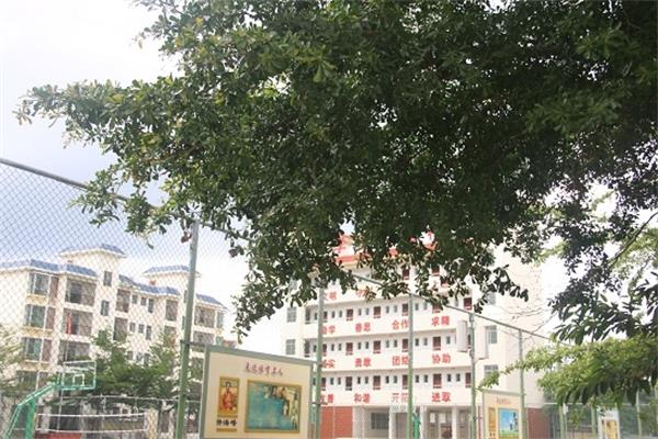 1560155637724224.jpg 88.jpg