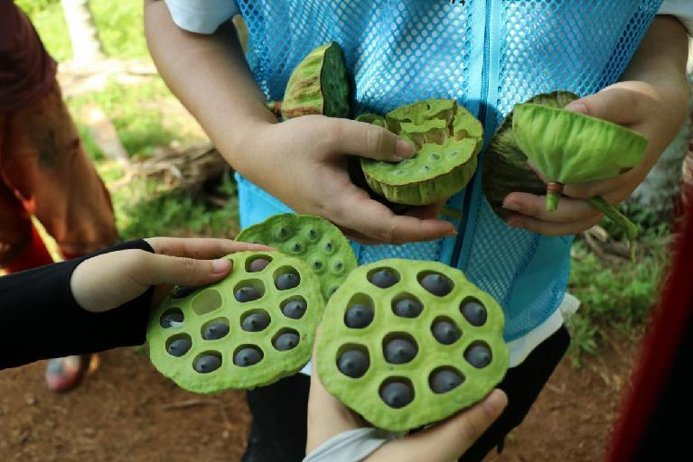 1661405604763383.png 1661405604763383.png