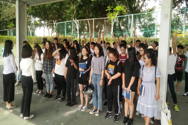 1529418799418139.jpg 4.jpg