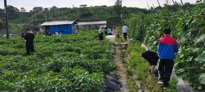 1661405723376355.png 1661405723376355.png