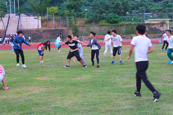 1510221864130472.jpg qiqiu1.jpg