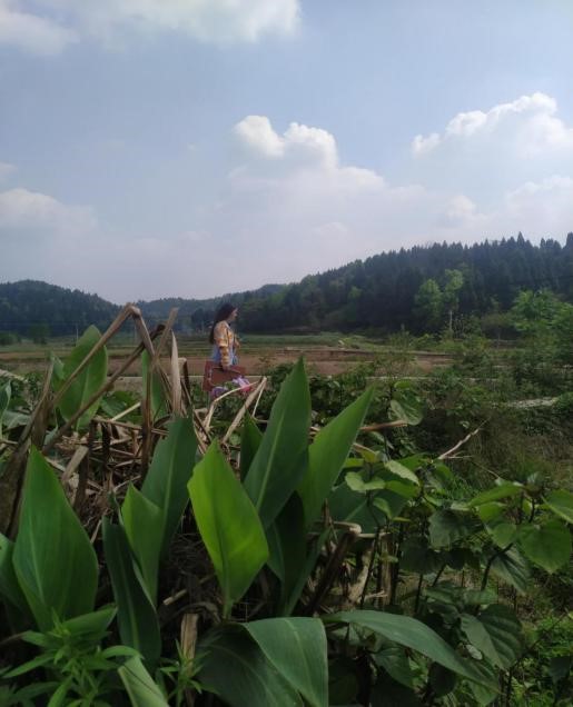 1587728529137469.jpg 5.jpg